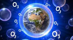 (foto dal web)