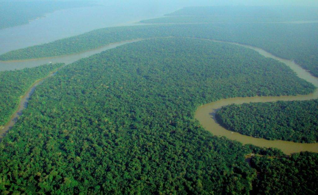 Extreme E Amazon rainforest