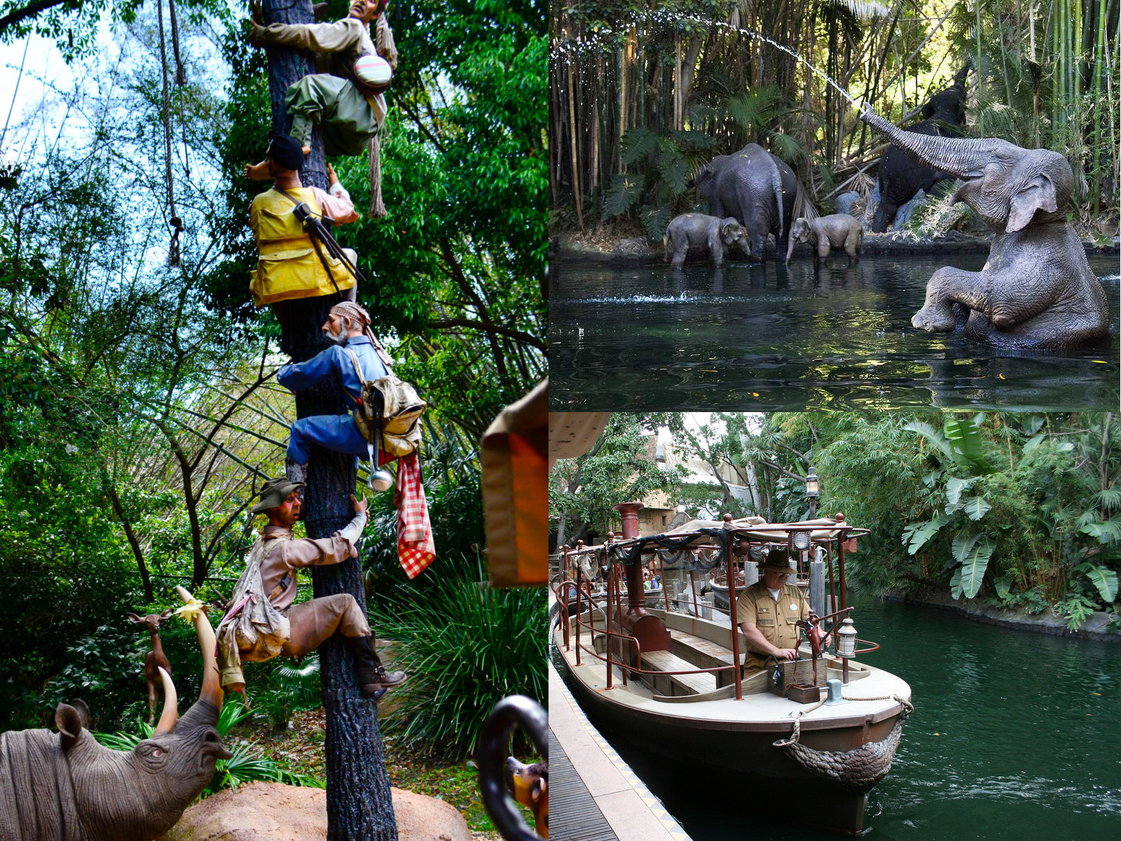 Alcune foto dell'attrazione Jungle cruise