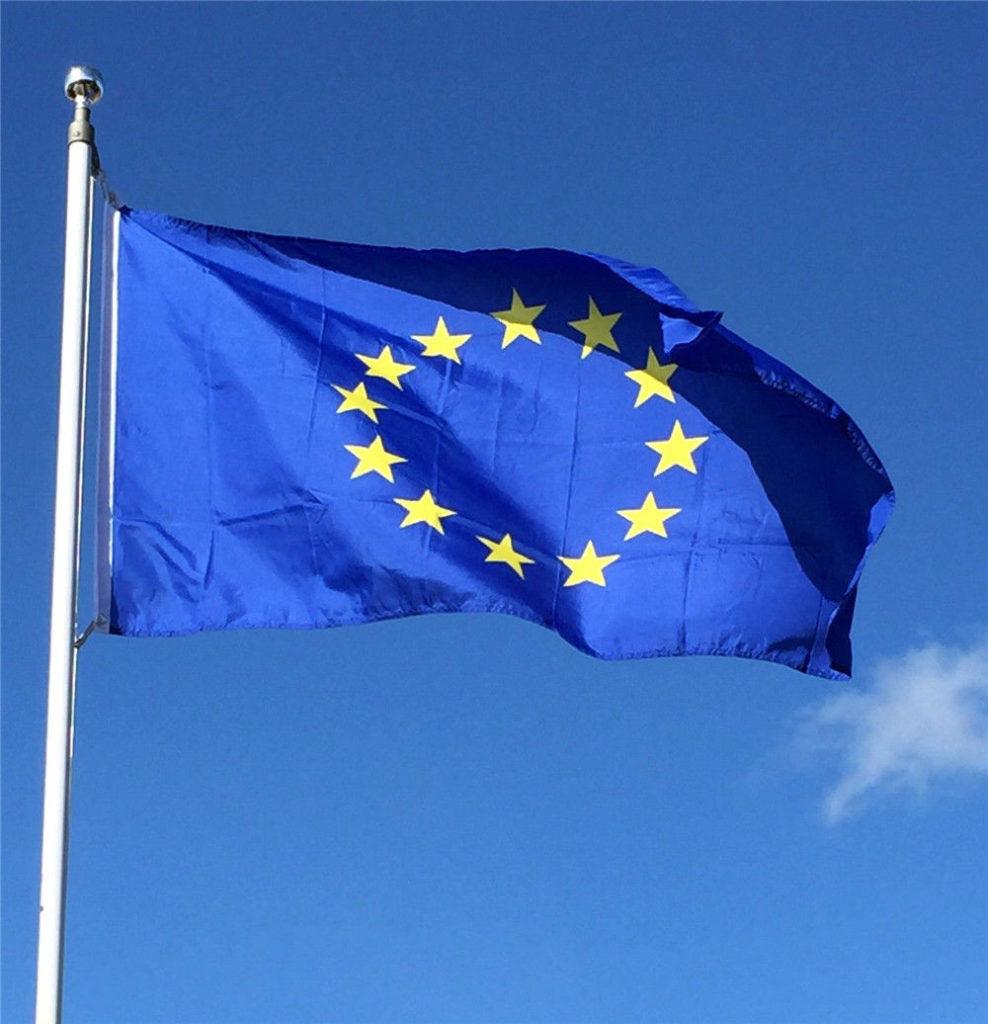 Bandiera Europea - foto dal web 
