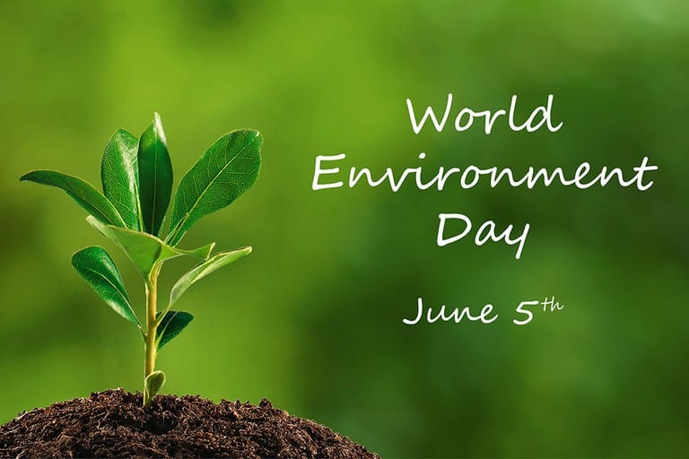 Il 5 giungo si celebra la Giornata Mondiale per Ambiente. Questa ricorrenza è stata voluta dall'Onu nel 1972 