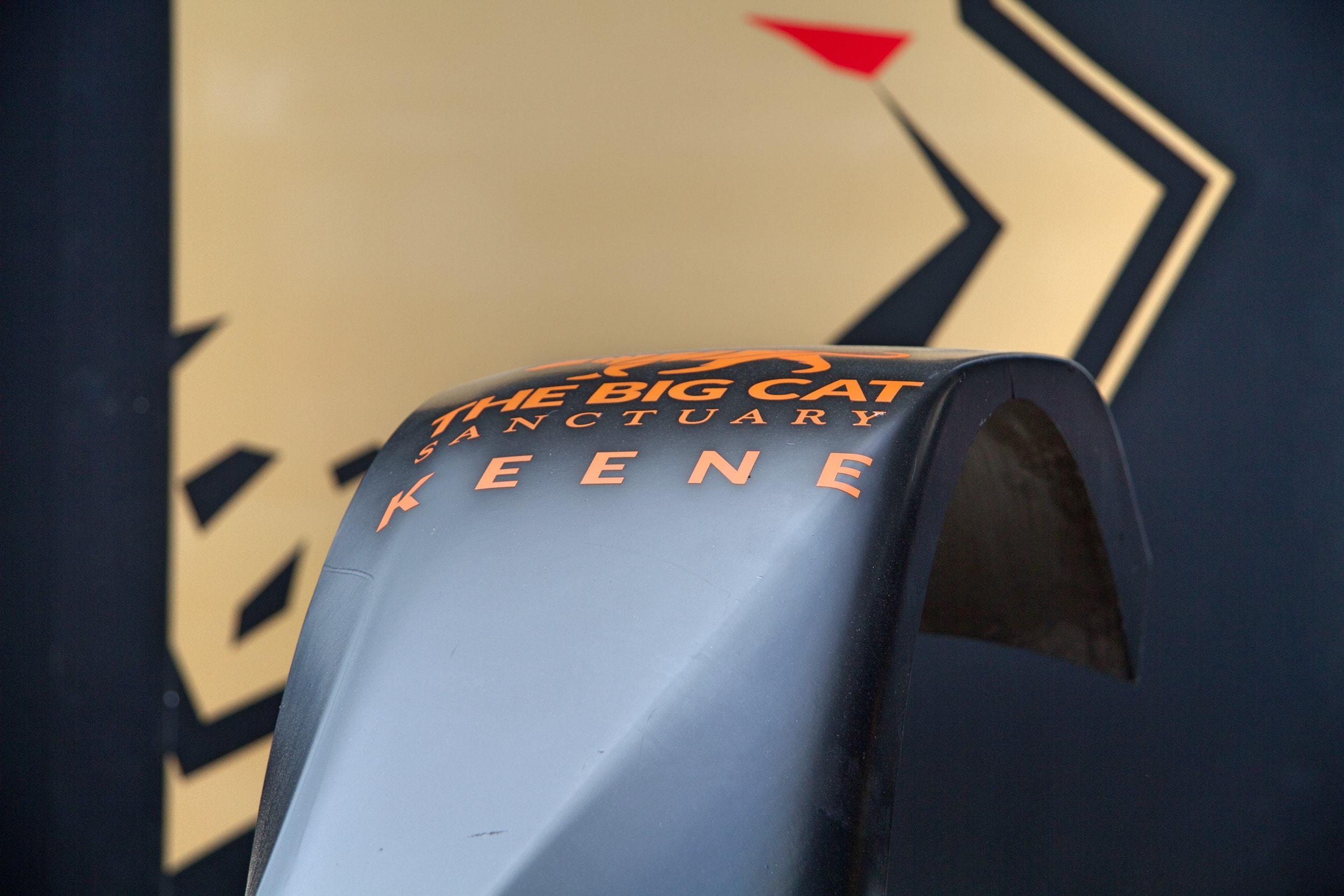Formula E | DS Techeetah e gli ordini di scuderia per difendere il titolo
