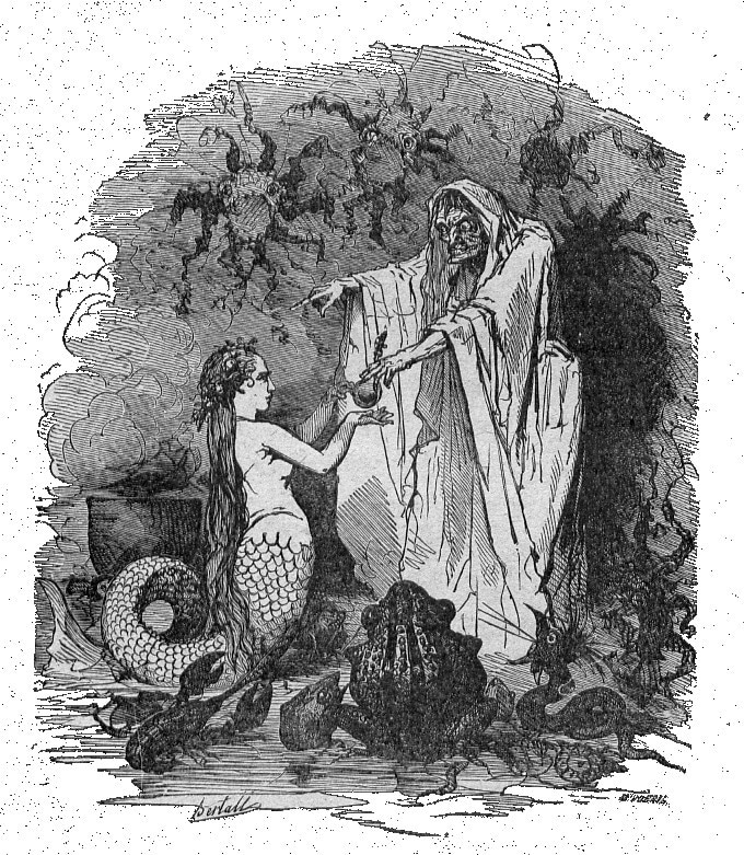 Illustrazione con la strega del mare e la sirena.