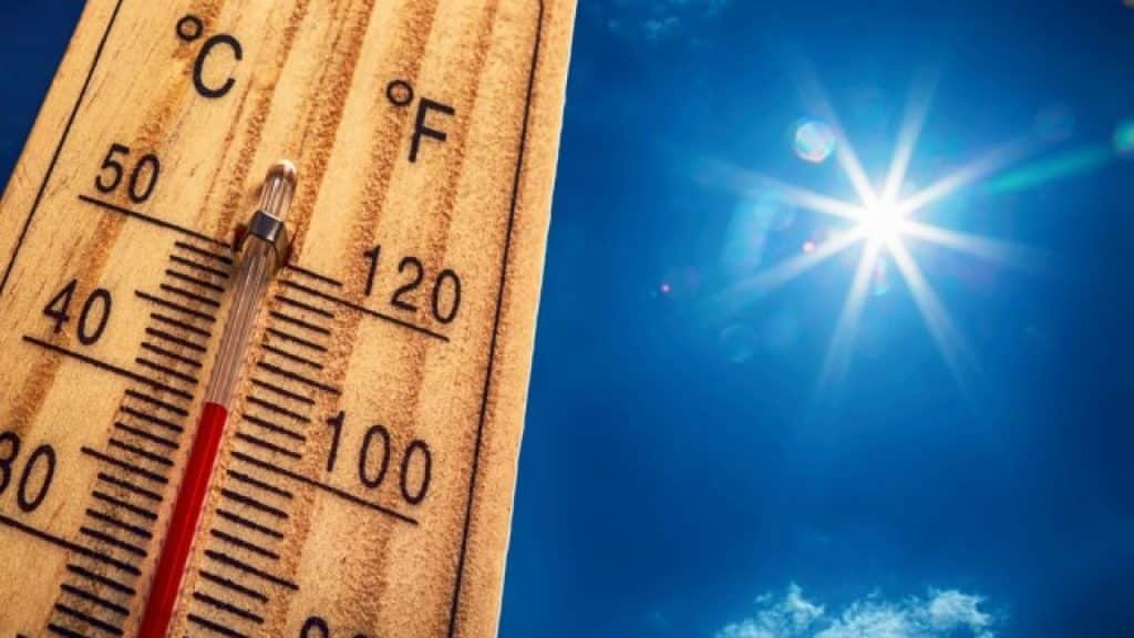 caldo