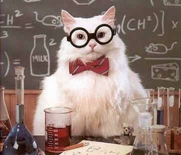 il gatto chimico: valore scientifico pari a molte panzane scientifiche