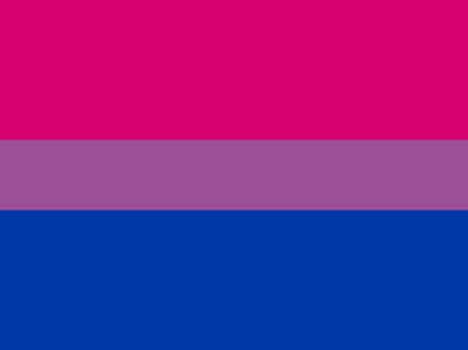 Bandiera Orgoglio Bisessuale | Michael Page 1998
