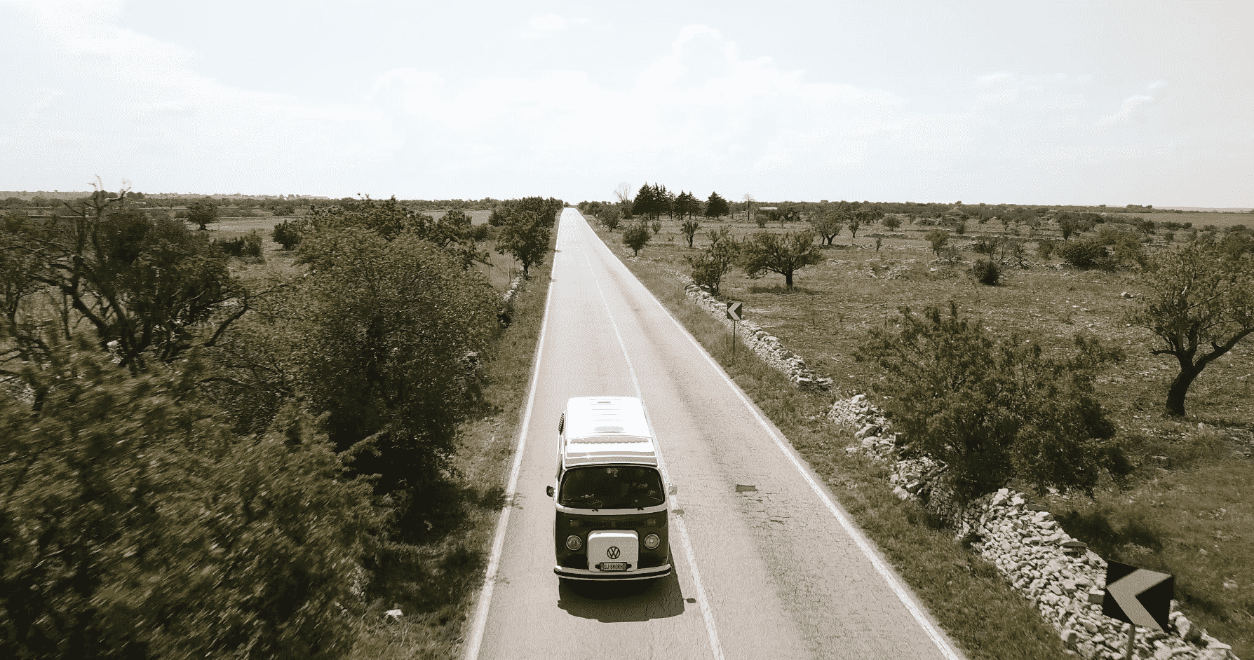 Instagram-Worthy : Visual Storytelling per le Imprese Pugliesi