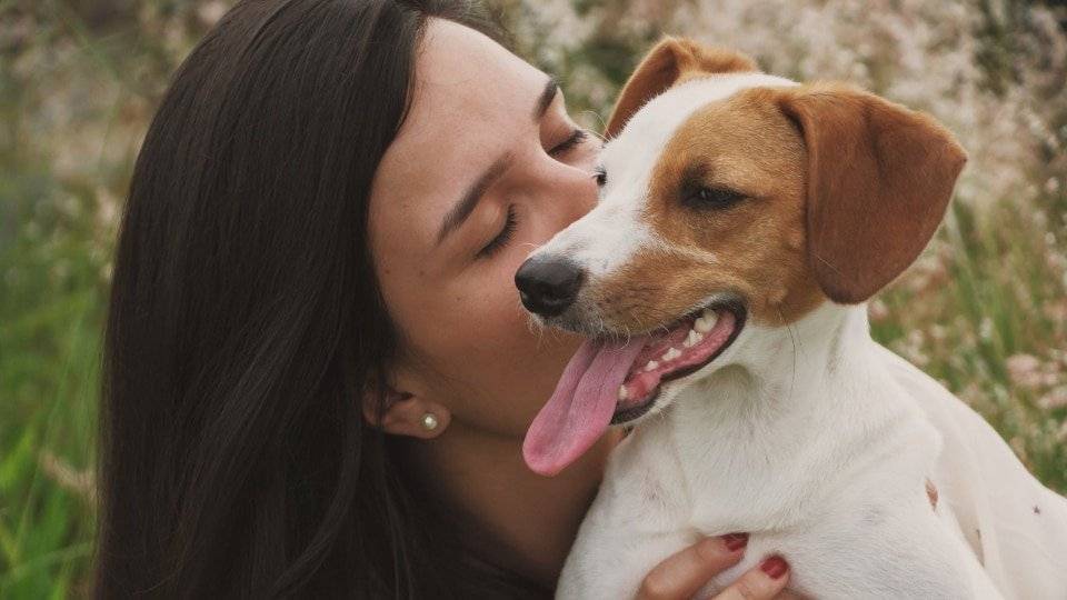 Avere un cane ti allunga la vita e fa bene al cuore: lo dice la scienza