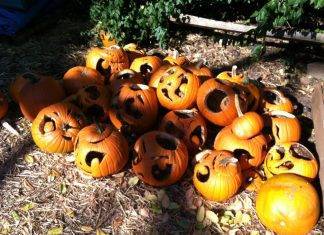 Halloween e il mistero delle zucche scomparse