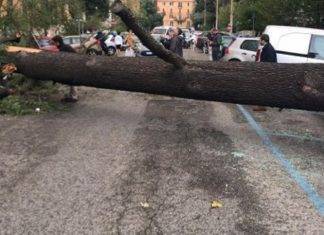 Maltempo: il Comune di Roma interviene sui danni causati dal nubifragio Maltempo Roma