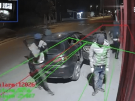Catturata la banda delle Audi: rapinavano in tutta Italia Banda dell'Audi (lostrillonefrancesco)