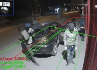Catturata la banda delle Audi: rapinavano in tutta Italia Banda dell'Audi (lostrillonefrancesco)