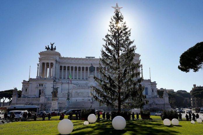 L'albero di Natale di Piazza Venezia, soprannominato Spelacchio