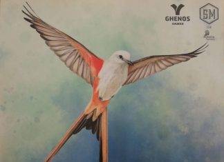 Wingspan, tanti volatili tutti da scoprire Wingspan