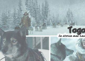 Togo, il film sull’eroe a quattro zampe su Disney+