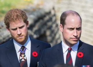 William su Harry:”Non posso più proteggerlo, siamo due entità separate” william e Harry