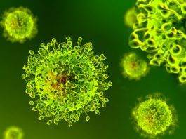 Coronavirus: primo caso sospetto in Brasile Coronavirus