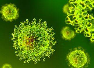Coronavirus: primo caso sospetto in Brasile Coronavirus