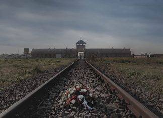 Giorno della Memoria: i film per non dimenticare