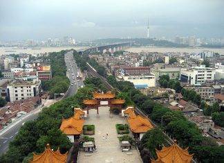 Virus in Cina, allarme per le possibili mutazioni: salite a 17 le vittime Virus Cina