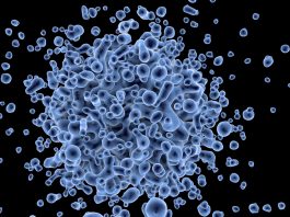 Wuhan: sale il numero delle vittime del coronavirus wuhan, fonte pubblicdomainpicturers.net