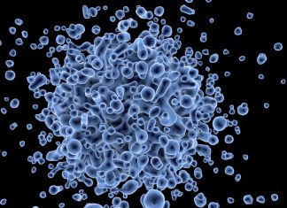 Wuhan: sale il numero delle vittime del coronavirus wuhan, fonte pubblicdomainpicturers.net