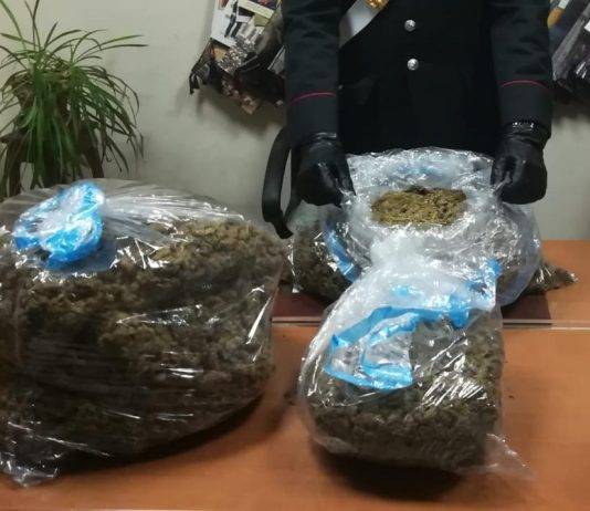 Sequestrati oltre 100 kg di marijuana nel varese