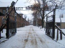 Il Giorno della Memoria | Auschwitz e l’orrore dell’olocausto giorno della memoria fonte it.m.wikipedia.org