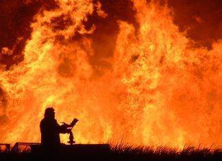 Incendi in Australia, 10mila cammelli verranno abbattuti incendi australia