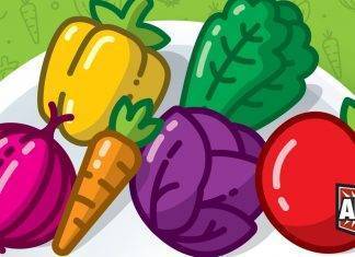 Point Salad, in arrivo nel 1° trimestre 2020! Point Salad