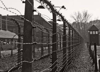 Napoli, Giornata della Memoria: medaglia d’onore ai familiari di 32 deportati shoah-giornata-della-memoria
