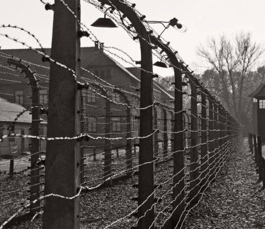 Napoli, Giornata della Memoria: medaglia d’onore ai familiari di 32 deportati shoah-giornata-della-memoria