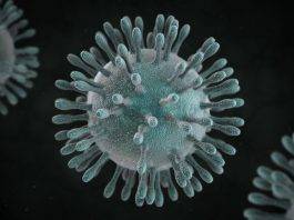 Brescia: il coronavirus miete una nuova vittima, una donna di Crema, paziente oncologica con quadro clinico già compromesso Coronavirus