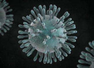 Brescia: il coronavirus miete una nuova vittima, una donna di Crema, paziente oncologica con quadro clinico già compromesso Coronavirus