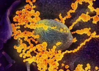 Coronavirus a Napoli, risulta positivo il tampone dell’uomo tornato da Milano
