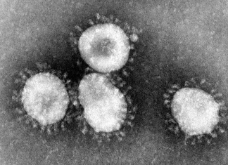 Coronavirus: caso sospetto ad Olbia, paziente posto sotto osservazione
