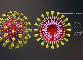 Il Coronavirus colpisce ancora: ad Hong Kong la prima vittima