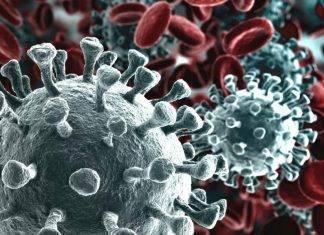 Coronavirus ed omeopatia: Boiron ammette la sua inefficacia coronavirus