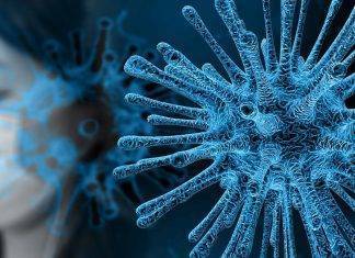 Coronavirus: in Egitto un contagiato, il primo caso in Africa coronavirus