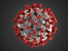 Coronavirus, nuovo caso in Sicilia: donna positiva a Siracusa coronavirus - immagine web
