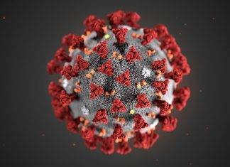 Allarme a Firenze, un sospetto di Coronavirus coronavirus - immagine web