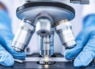 Coronavirus: spunta un’ e-mail segreta inviata ai medici di Wuhan coronavirus, fonte lezionieuropa.it