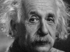 Albert Einstein : per quale scoperta vinse il Nobel per la Fisica 1921? Albert Einstein - immagine web