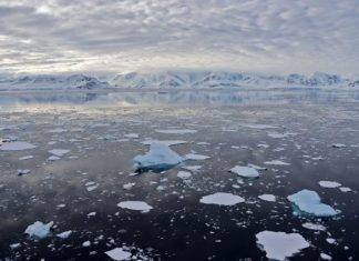 Emergenza Clima: temperature record sciolgono un’isola dell’Antartide