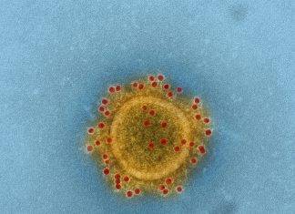 Coronavirus: in Francia il primo decesso