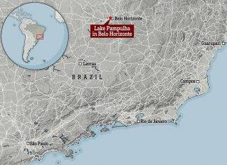 Virus sconosciuto scoperto in Brasile, geni mai visti prima virus brasile