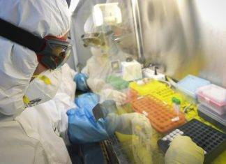 Coronavirus: il farmaco anti-malaria può guarirlo? farmaco-anti-malaria