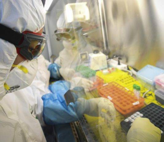 Coronavirus: il farmaco anti-malaria può guarirlo? farmaco-anti-malaria