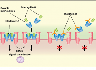 Il Tocilizumab può curare il coronavirus