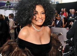 Diana Ross, la lady di ferro da guinnes! @Guillermo Quezada